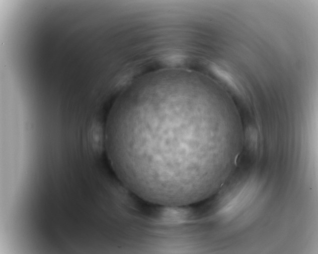 X0000096680234200802121218