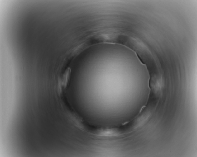 X0000096680235200802121218