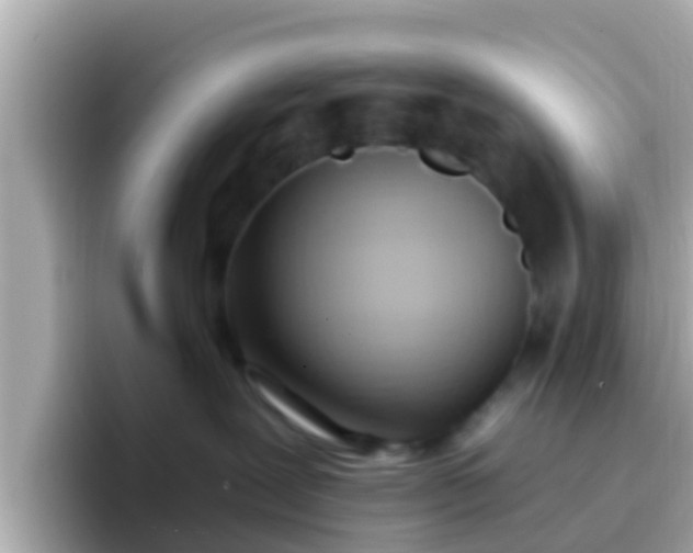 X0000096680239200802121218