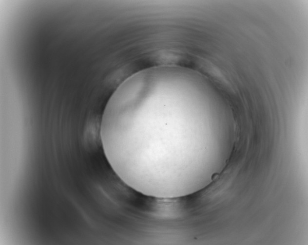 X0000096680240200802121218