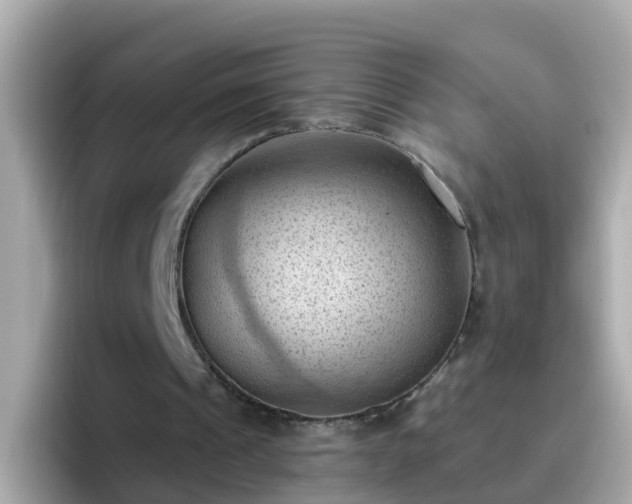 X0000096680241200802121217