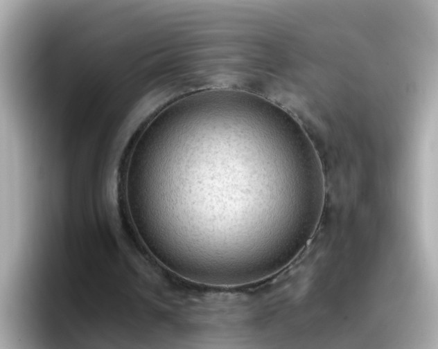 X0000096680242200802121217