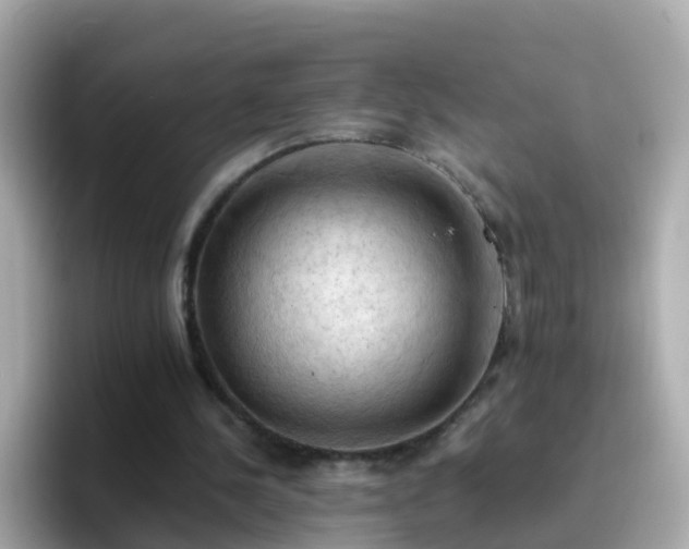 X0000096680244200802121217