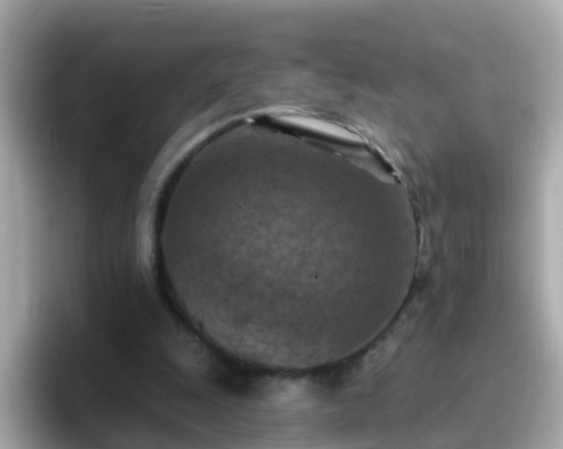 X0000096680247200802121217