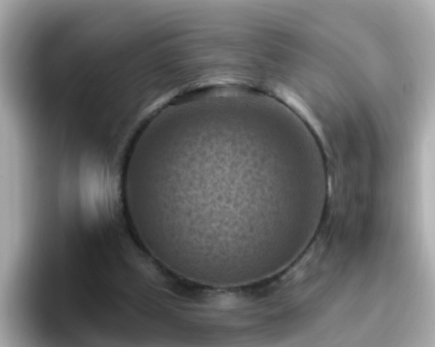 X0000096680249200802121217