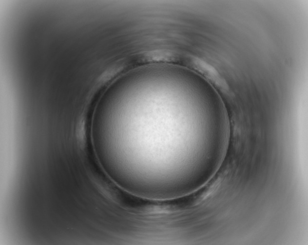 X0000096680250200802121217