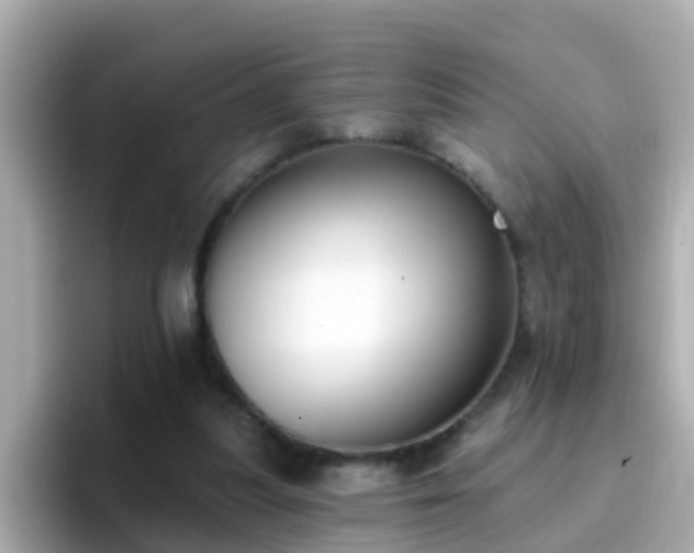 X0000096680251200802121217