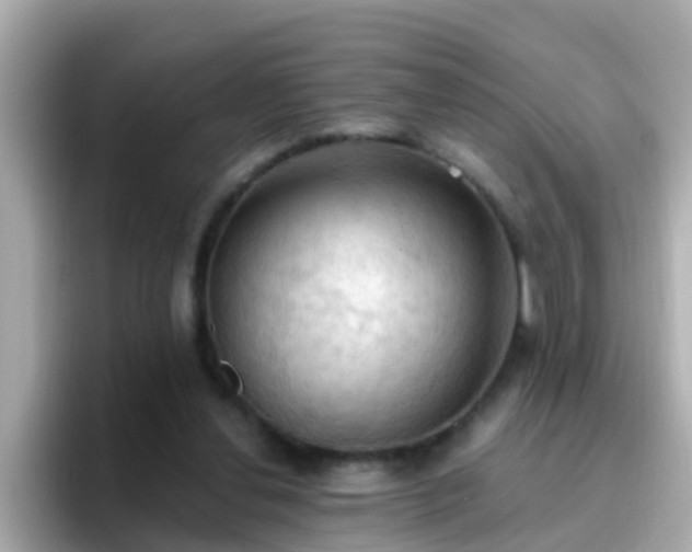 X0000096680252200802121217