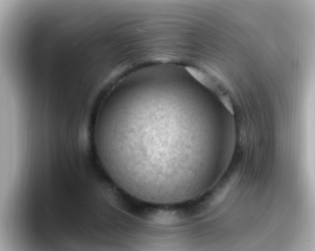 X0000096680256200802121217