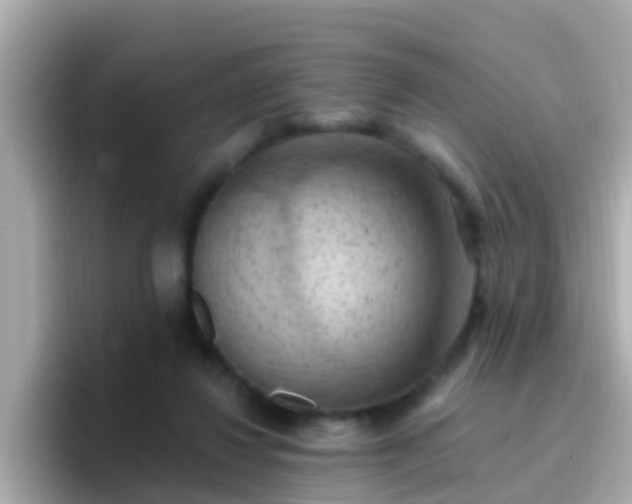 X0000096680260200802121218