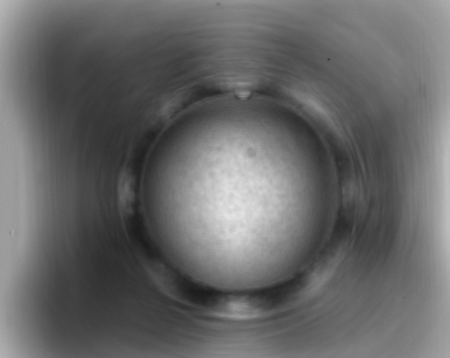 X0000096680264200802121218