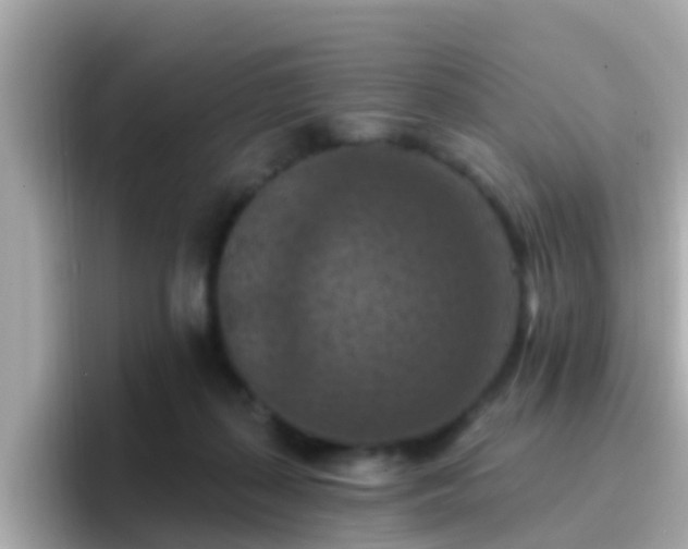 X0000096680267200802121218