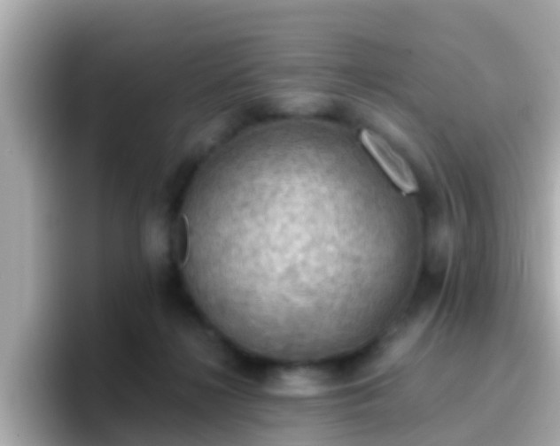 X0000096680268200802121218