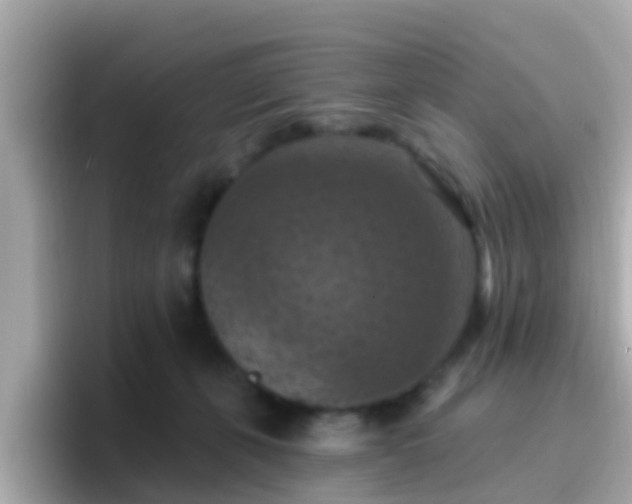 X0000096680271200802121218