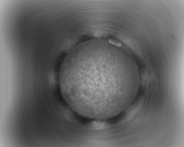 X0000096680272200802121218