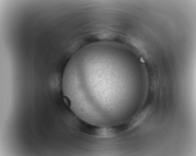 X0000096680273200802121218