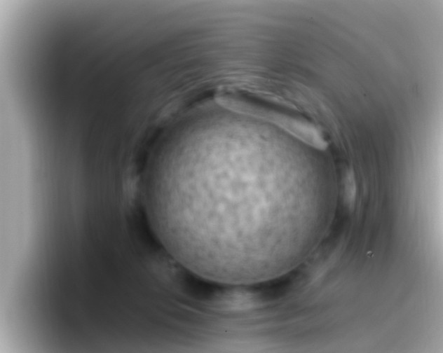 X0000096680276200802121218
