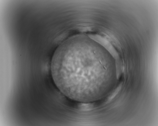 X0000096680277200802121218