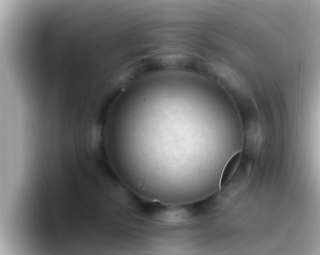 X0000096680278200802121218