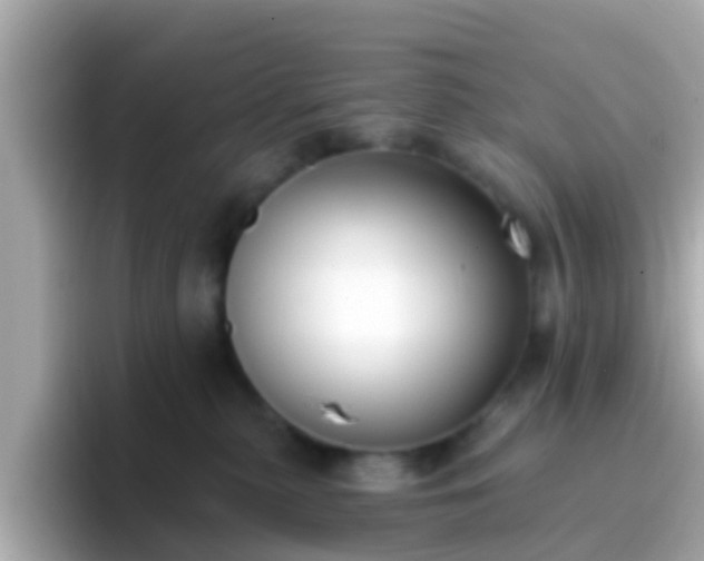 X0000096680279200802121218