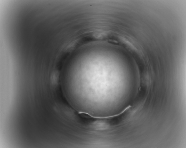 X0000096680280200802121218