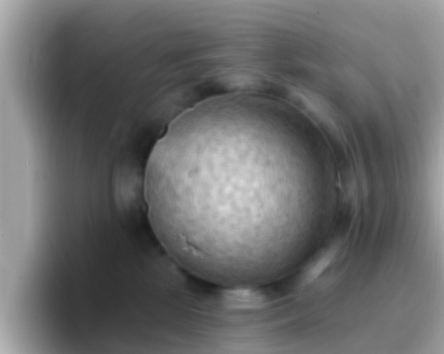 X0000096680281200802121218