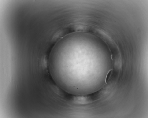 X0000096680282200802121218
