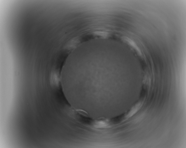 X0000096680285200802121218