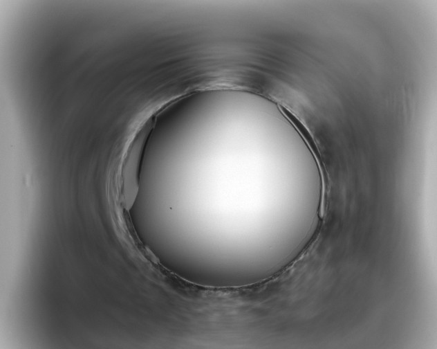 X0000096680289200802121217