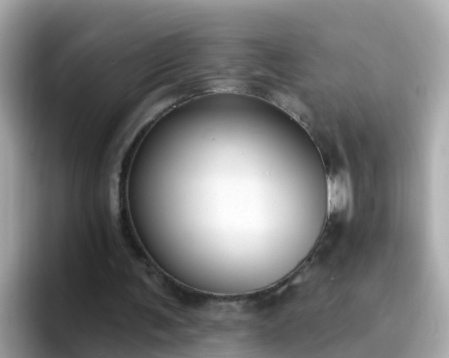 X0000096680291200802121217
