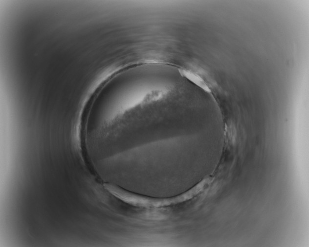 X0000096680292200802121217
