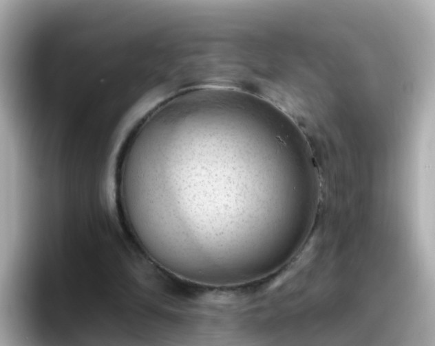 X0000096680294200802121217