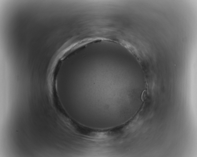 X0000096680295200802121217
