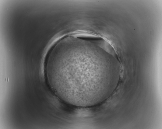 X0000096680296200802121217