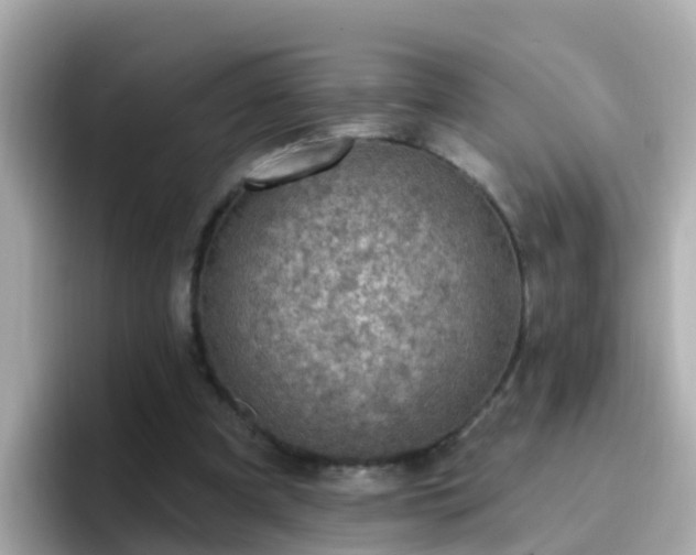 X0000096680297200802121217