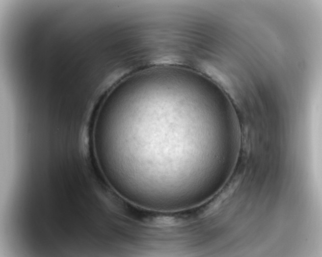 X0000096680298200802121217