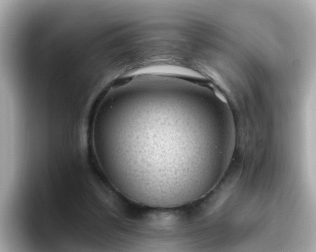 X0000096680299200802121217