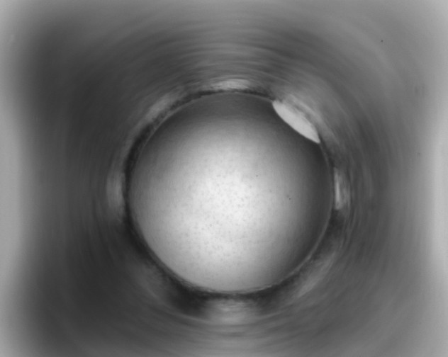 X0000096680300200802121217