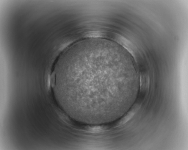 X0000096680301200802121217