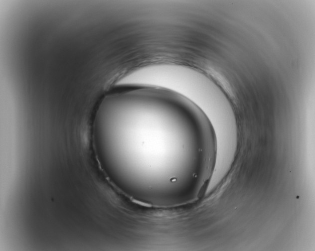 X0000096680305200802121217