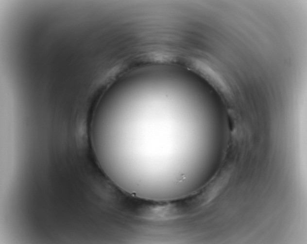 X0000096680306200802121217