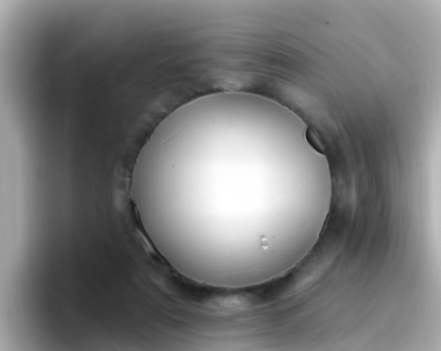 X0000096680307200802121217