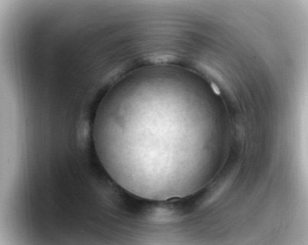 X0000096680308200802121217