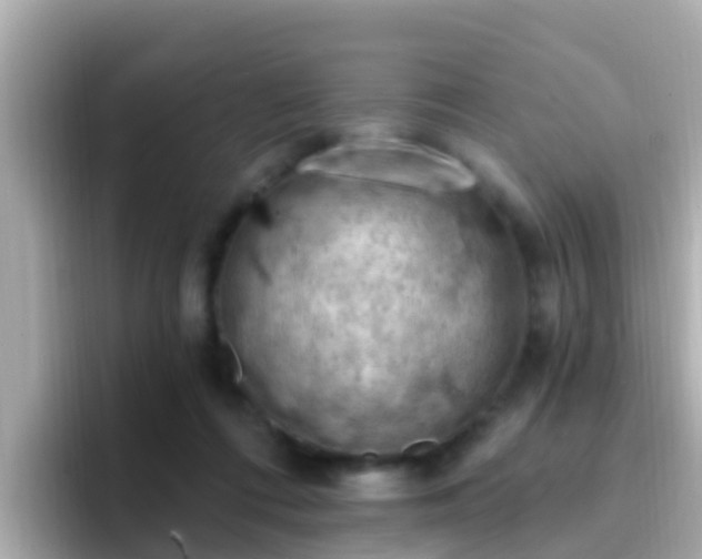 X0000096680312200802121217