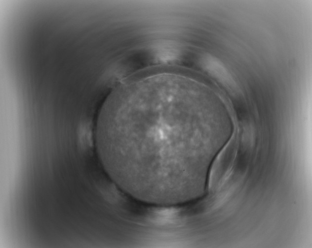 X0000096680313200802121217