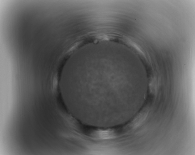 X0000096680314200802121217