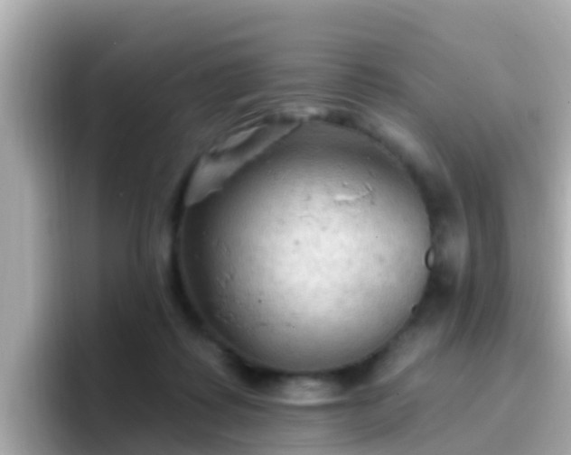 X0000096680315200802121217