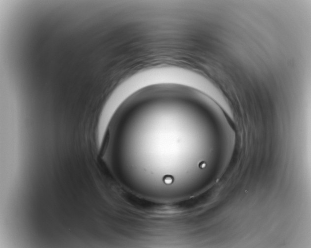 X0000096680316200802121217