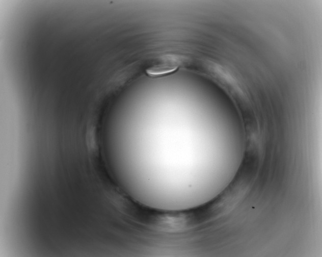 X0000096680317200802121217