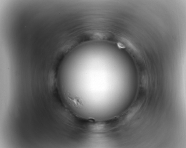 X0000096680318200802121217